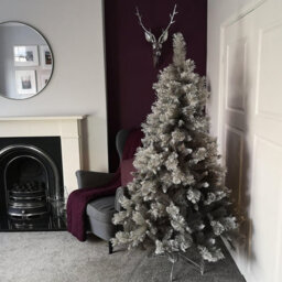 Samuel Alexander 6Ft (180Cm) Premier Snow Fir Grey Pvc Christmas Tree With 587 Cashmere Tips - thumbnail 9