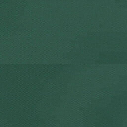 Berkfield Retractable Side Awning Dark Green 160X600 Cm - thumbnail 9