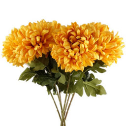Pegdev - Pdl - Pack Of 6 Reflex Chrysanthemums 75Cm Gold Artificial Silk Flowers Extra Large - thumbnail 1