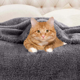 Ameha Fleece Plain Blanket, Lightweight & Reversible Throw For Travel, Bed & Sofa Blanket, Grey Double 150X200Cm - thumbnail 3