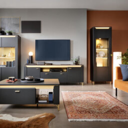 Furniture To Go Genoa Vitrin 1 Door In Black Matt/gold - thumbnail 6