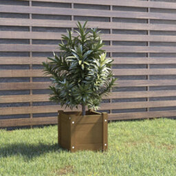 Berkfield Sturdy Garden Planter Honey Brown 31X31X31 Cm Solid Pinewood - thumbnail 2