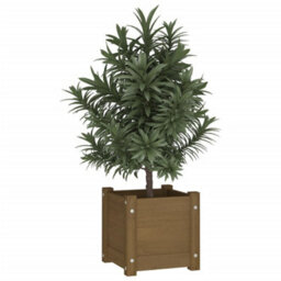 Berkfield Sturdy Garden Planter Honey Brown 31X31X31 Cm Solid Pinewood - thumbnail 3