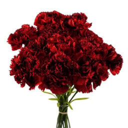 Pegdev - Pdl - Pack Of 12 Artificial Carnation Flowers Red Faux Bouquet Stems For Home Or Wedding Decoration - thumbnail 1