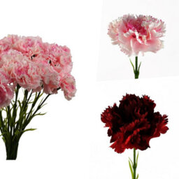 Pegdev - Pdl - Pack Of 12 Artificial Carnation Flowers Red Faux Bouquet Stems For Home Or Wedding Decoration - thumbnail 4