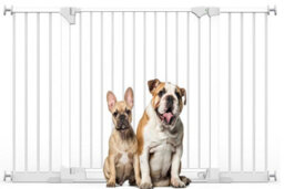 Bettacare Safestep Dog Gate, White, 152Cm - 159Cm, Extra Low Walkthough, 81Cm Extra Wide Doorway, Extra Wide Pet Gate