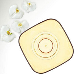 B2C Plant Orchid Pot Plastic  Gloss Oval Planter 12 Cm Honey Transparent Square - thumbnail 3