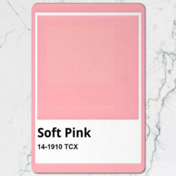 Benjamin Tate Design Soft Pink Placemat And Coaster Set With Wood Bottom Designer Artwork Exclusive Set Of 12 - thumbnail 2