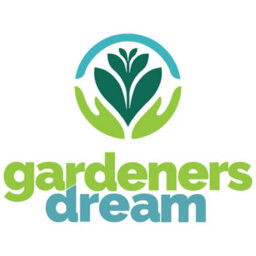 Gardeners Dream Yellow Pansy Plants - Basket And Bedding Plants Outdoor Garden Ready (6 Pack) - thumbnail 5