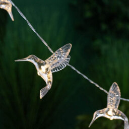 Globrite Hummingbird Solar String Lights - 10 Led, Warm White - Garden Fairy Lights For Outdoor Decoration & Night Illumination - thumbnail 4