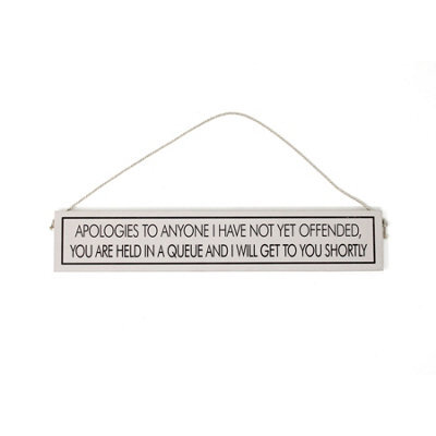 Wit With Wisdom Grey Witty Quote Wooden Hanging Sign - Sarcastic Confidence - image 1