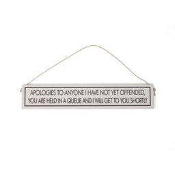 Wit With Wisdom Grey Witty Quote Wooden Hanging Sign - Sarcastic Confidence - thumbnail 1