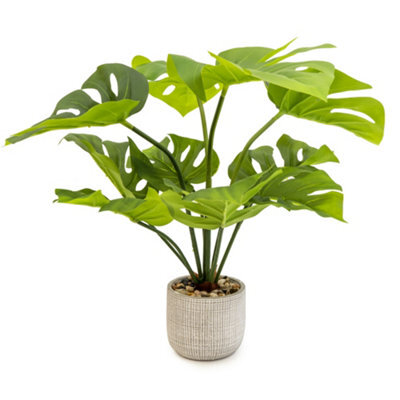 Candlelight Green 50Cm Cheese Plant Artificial Plant In Grey Ceramic Pot - image 1
