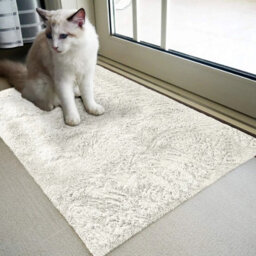 Ameha Cream Bedroom Rug 60X110 Cm - Area Rugs For Living Room Plush Carpet Modern Soft Shaggy Pile Faux Fur Rug For Home - thumbnail 7