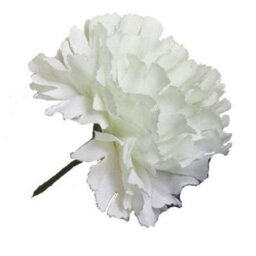 6 X White Artificial Silk Carnationd.  Single Stems. Stem Length 48 Cm. Head Width 7 Cm. - thumbnail 2