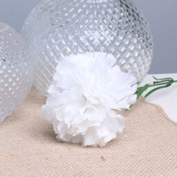 6 X White Artificial Silk Carnationd.  Single Stems. Stem Length 48 Cm. Head Width 7 Cm. - thumbnail 1