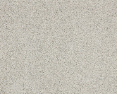 Soft Perfection Luxury Carpet By Remland (Biscuit, 5M X 4M) - image 1