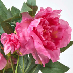 Homescapes Artificial Pink Handcrafted Peonies In Decorative Black Pot, 48 Cm - thumbnail 5
