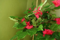 Leaf Large Japanese Artificial Tree Silk Bougainvillea Tree Botanik - thumbnail 2
