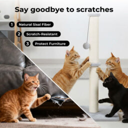 Skylos Cat Tree Scratching Post Wooden Furniture Stand With Ball Toy - thumbnail 7