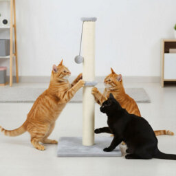 Skylos Cat Tree Scratching Post Wooden Furniture Stand With Ball Toy - thumbnail 1