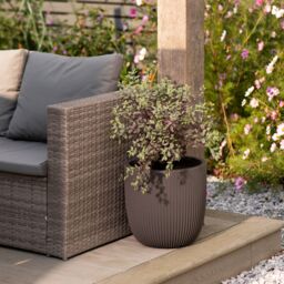 Strata Pacific Matt Graphite Plastic Plant Pot (Dia) 35Cm, (H)34.5Cm - thumbnail 3