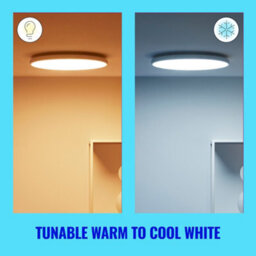 Wiz Tunable White And Rgb Aura Smart Connected Wifi Ceiling Mounted Light Black With App Control - thumbnail 5