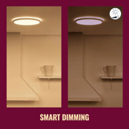 Wiz Tunable White And Rgb Aura Smart Connected Wifi Ceiling Mounted Light Black With App Control - thumbnail 6