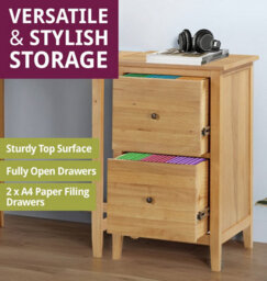 Hallowood Furniture Aston Two Drawer Filing Cabinet - thumbnail 5