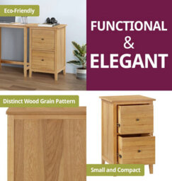 Hallowood Furniture Aston Two Drawer Filing Cabinet - thumbnail 4