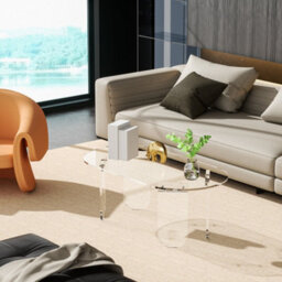Fativo L95X W50X H35Cm Oval Clear Acrylic Coffee Table Modern Living Room Accent Sofa Center Table - thumbnail 9