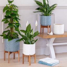 Ivyline Aspen Flower Dusty Blue Planter H34Cm D22Cm - thumbnail 4