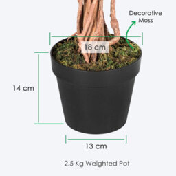 Homescapes Artificial Green Handcrafted Ficus Tree With Twisted Real Wood Stem, 120 Cm (4 Ft) - thumbnail 3