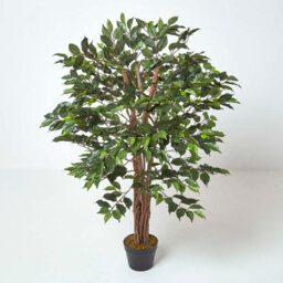 Homescapes Artificial Green Handcrafted Ficus Tree With Twisted Real Wood Stem, 120 Cm (4 Ft) - thumbnail 1
