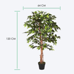Homescapes Artificial Green Handcrafted Ficus Tree With Twisted Real Wood Stem, 120 Cm (4 Ft) - thumbnail 4