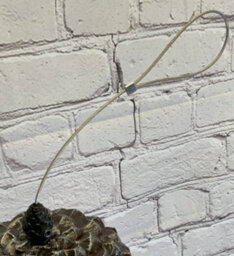 Selections Hanging Peanut Bird Feeder Acorn Shaped Nut - thumbnail 5