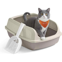 High Sided Open Top Cat Litter Box, Xl Litter Tray With Scoop For Kittens And Adult Cats, Cappuccino Beige - thumbnail 7