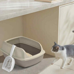 High Sided Open Top Cat Litter Box, Xl Litter Tray With Scoop For Kittens And Adult Cats, Cappuccino Beige