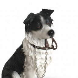 Animal Crackers Border Collie Figurine Leonardo Walkies Dog Studies Range, Height 18Cm, Gift Boxed - thumbnail 3