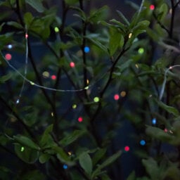 Gardenwize 20 Metre Solar Powered Multi-Coloured 200 Led Lights Christmas Garden Patio Decking - thumbnail 2