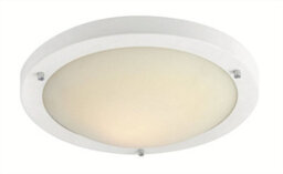 Luminosa Lighting Luminosa Rondo Led 24 Light Flush Ceiling Light Matt White, Opal Glass Ip44