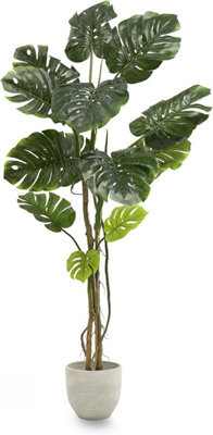 Artificial Plant Monstera, Maia Shop For Home And Office Decoration, 180Cm - image 1