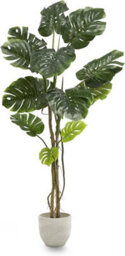 Artificial Plant Monstera, Maia Shop For Home And Office Decoration, 180Cm - thumbnail 1