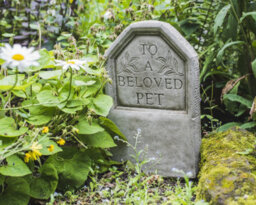 'to A Beloved Pet' Stone Cast Tombstone Memorial - thumbnail 4