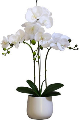 Greenbrokers Elegant Large Triple Stem White Real Touch Artificial Potted Orchid (65Cm) In Round White Ceramic Pot - image 1