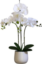 Greenbrokers Elegant Large Triple Stem White Real Touch Artificial Potted Orchid (65Cm) In Round White Ceramic Pot - thumbnail 1