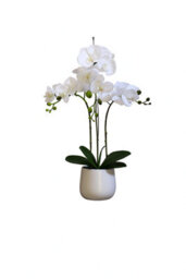 Greenbrokers Elegant Large Triple Stem White Real Touch Artificial Potted Orchid (65Cm) In Round White Ceramic Pot - thumbnail 3