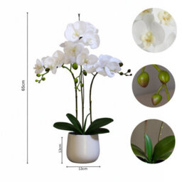 Greenbrokers Elegant Large Triple Stem White Real Touch Artificial Potted Orchid (65Cm) In Round White Ceramic Pot - thumbnail 4