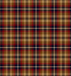 Chepstow Court Commercial Woven Carpet By Remland (Traditional Tartan, 1M X 4M) - thumbnail 1