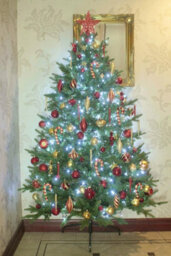 Christmas Tree World The 6Ft Woodland Pine Half Tree With Hinged Branches - thumbnail 6